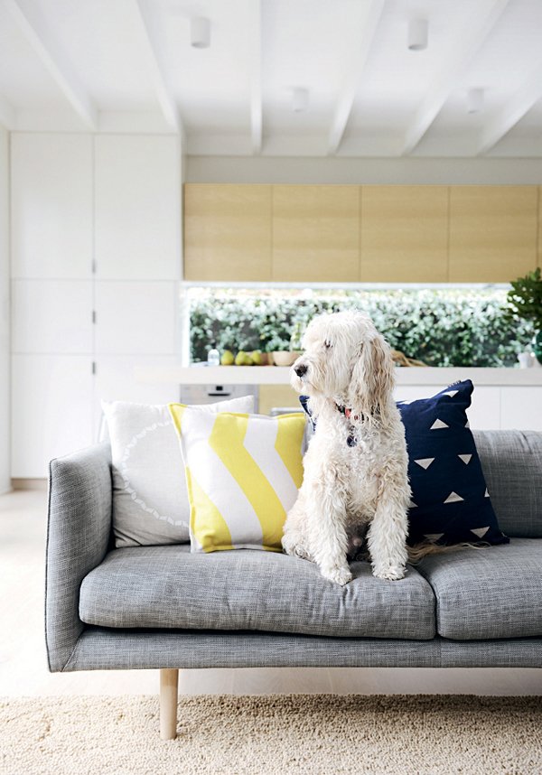 Les blogs, les blogs, les blogs&nbsp;♥95