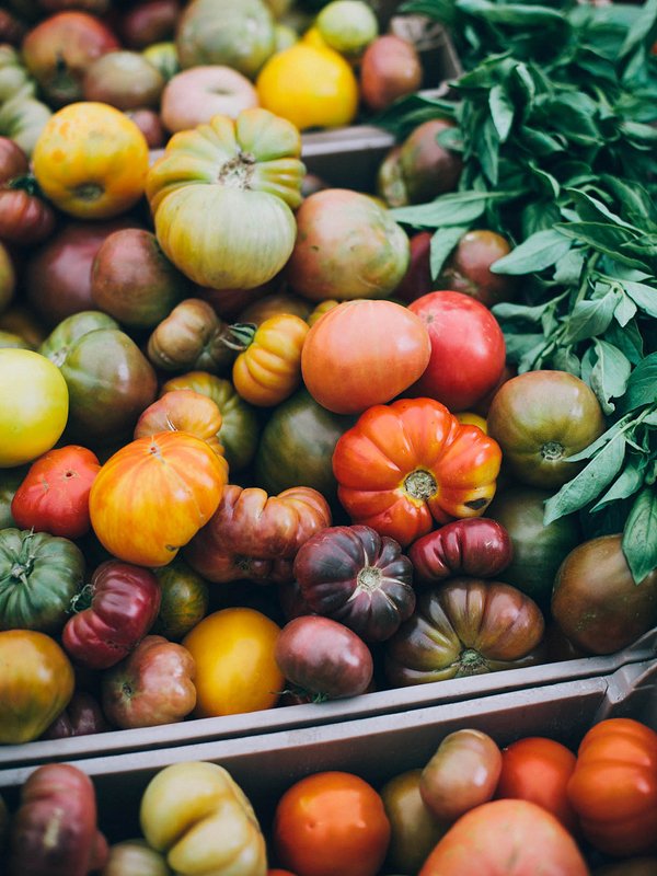 Les blogs, les blogs, les blogs ♥66