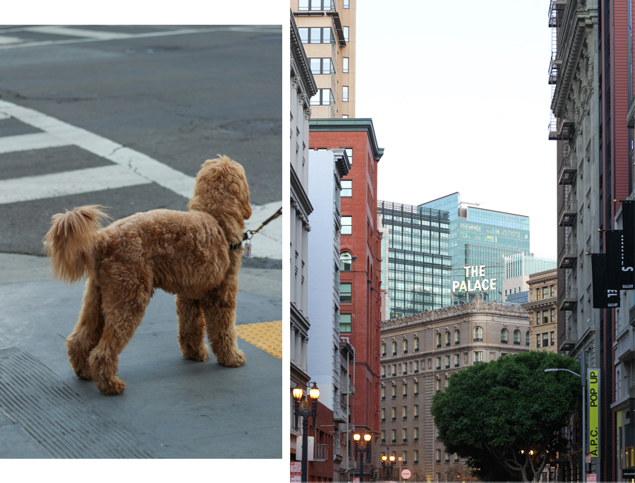 beautyarchi Francisco union square voyage photographies expatriation architecture centre