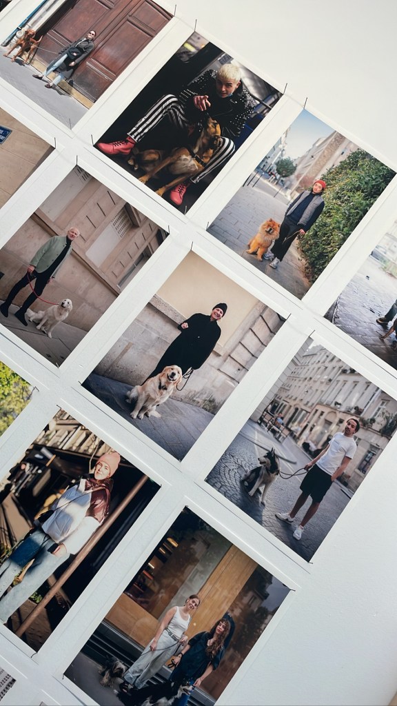 pavillon de l'arsenal exposition