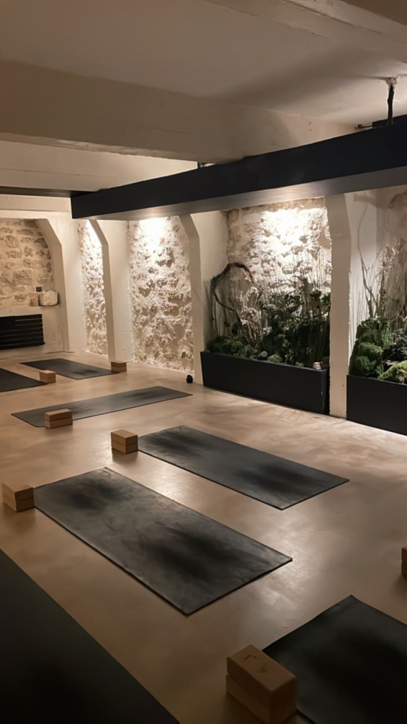 solo trip Paris yoga naya studio